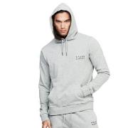 Frank Dandy Unisex Solid Hoodie Gråmelerad bomull X-Large Herre