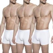 Bread and Boxers Boxer Briefs 3P Hvit økologisk bomull Large Herre