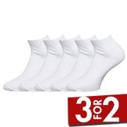 Claudio Strømper 5P Sneaker Socks Hvit Str 40/47 Herre