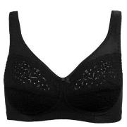 Damella BH Classic Soft Lace Bra Svart A 80 Dame