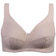 Damella BH Classic Soft Lace Bra Pudder D 85 Dame