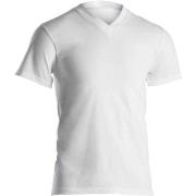 Dovre Single Jersey  V-neck T-Shirt Hvit bomull Medium Herre