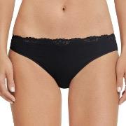 Schiesser Truser Pure Cotton Tai Svart bomull 40 Dame