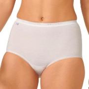 Sloggi Truser 3P Basic Maxi Hvit bomull 54 Dame