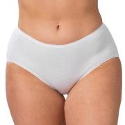 Trofe Cotton Midi Truser Hvit bomull XX-Large Dame