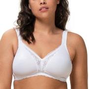 Triumph BH Modern Lace Cotton Soft Bra Hvit D 75 Dame