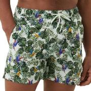 Björn Borg Badebukser Sylvester Swim Shorts Hvit/Grønn polyester Large...