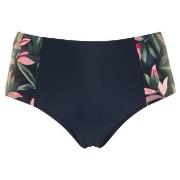 Missya Milano Bikini Maxi Brief Blå/Rosa 44 Dame