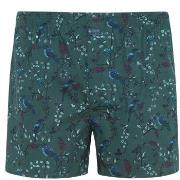 Jockey Woven Poplin Boxer Shorts Grønn bomull Large Herre