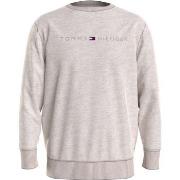 Tommy Hilfiger Icon Logo Relaxed Fit Sweatshirt Beige Large Herre