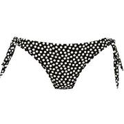 Rosa Faia Summer Dot Bikini Bottom Svart/Hvit 38 Dame