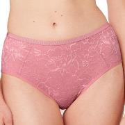 Triumph Truser Amourette Charm T Maxi 02 Rosa 40 Dame