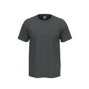 Stedman 4P Comfort Men T-shirt Grå bomull Large Herre