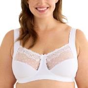 Swegmark BH Delight Soft Bra Hvit polyamid B 75 Dame