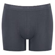Sloggi 2P Men EverNew Short Grå bomull XX-Large Herre
