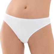 Mey Truser Organic Cotton Mini Briefs Hvit bomull Small Dame