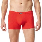 Bruno Banani Check Line 2.0 Shorts Rød polyamid X-Large Herre