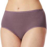 Schiesser Truser 2P Modal Essentials Midi Briefs Lilla/Svart bomull 42...