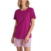 Calida Marine Dreams Short Pyjamas Rosa Mønster bomull Small Dame