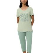 Triumph PK 02 Capri Pyjama Set Grønn bomull 38 Dame