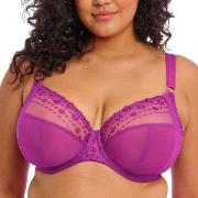 Elomi BH Matilda Underwired Plunge Bra Fuchsia/Lilla L 70 Dame