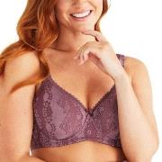 Swegmark BH Adorable Padded Soft Wired Bra Plomme F 90 Dame