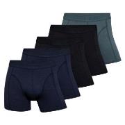 Claudio 5P Trunks Multi-colour-2 XX-Large Herre