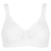 Damella BH Felice Soft Bra Hvit bomull F 70 Dame
