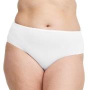 Swegmark Truser Essence Midi Briefs Modal Hvit modal 2XL Dame