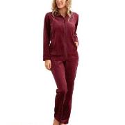 Damella Velour Plain Suit Mørkrød   XX-Large Dame