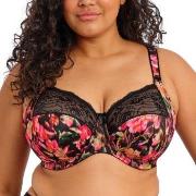Elomi BH Morgan Banded Bra Blomstret I 95 Dame