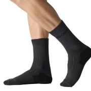Seger Strømper Wanderer Heavy Wool Socks Antracit Str 43/45