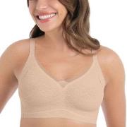 Anita BH Essentials Smart Padded Lace Bralette Lysrosa Small Dame