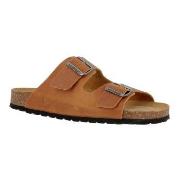 Axelda Andrea Kamel Str 44