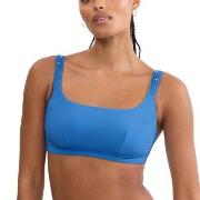 Triumph Palina Love By The Sea Soft Bikini Top Blå D 36 Dame