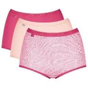 Sloggi Truser 3P Basic Plus Maxi Colored Hvit/Lysblå bomull 50 Dame