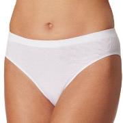Schiesser Truser Pure Rib Organic Cotton Rio Briefs Hvit 38 Dame