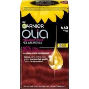 Garnier Olia 6.60 Intense Red 1 pcs