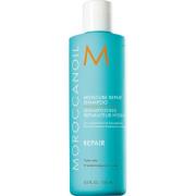 Moroccanoil Moisture Repair Shampoo 250 ml