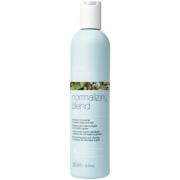 milk_shake Normalizing Blend Shampoo - 300 ml