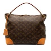 Pre-owned Leather louis-vuitton-bags