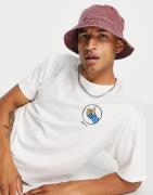 Nike SB Skate Fracture t-shirt in white