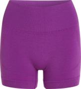 Icebreaker Women's Merino Seamless Active 4" Shorts Passion