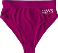 ColourWear Women's High Waist Bikini Bottom Purple
