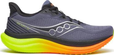 Saucony Men's Triumph 23 Shadow/vizi