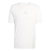 Adidas Men's Terrex Xperior CLIMACOOL+ T-shirt White