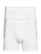 Jbs Tights 2-Pack Organic Boksershorts White JBS