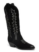 Wildcard Boot Høye Støvletter Black Steve Madden