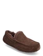 M Ascot Slippers Tøfler Brown UGG