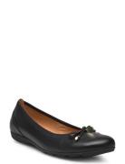 Ballerina Ballerinasko Ballerinaer Black Gabor